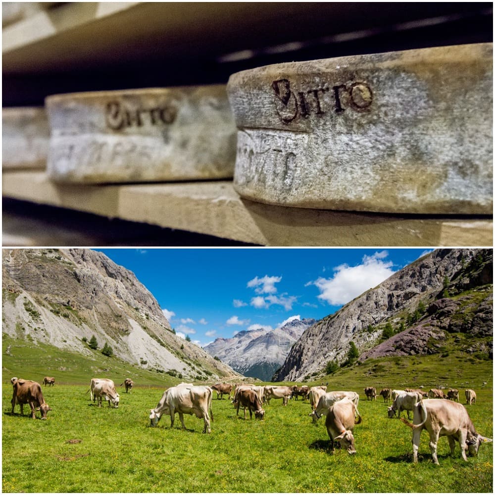 Consorzio per la tutela dei formaggi Valtellina Casera e Bitto