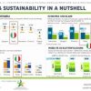La sostenibilità in Italia