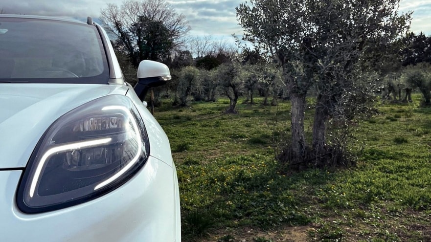 Ford sta portando avanti una ricerca per l’utilizzo sostenibile di foglie, rami e fibre scartati durante la raccolta delle olive e realizzare componenti auto in materiali biocompositi